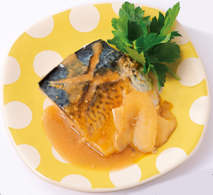 煮 鯖 レシピ 味噌