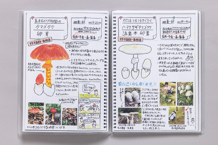 三神達義さんの研究の様子の画像