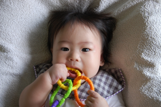 歯固めのおすすめ8選 赤ちゃんに人気のキャラからおしゃれ系 知育玩具までセレクト 小学館hugkum