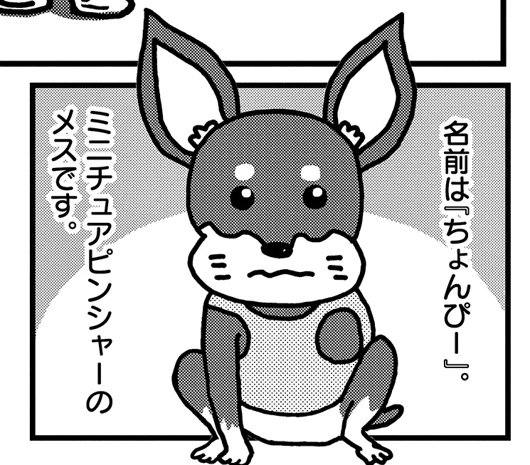 漫画 ぼくと三本足のちょんぴー なぜ愛犬は足を切断したのか 子育てと共通する 犬あるある にほっこり 小学館hugkum Part 4