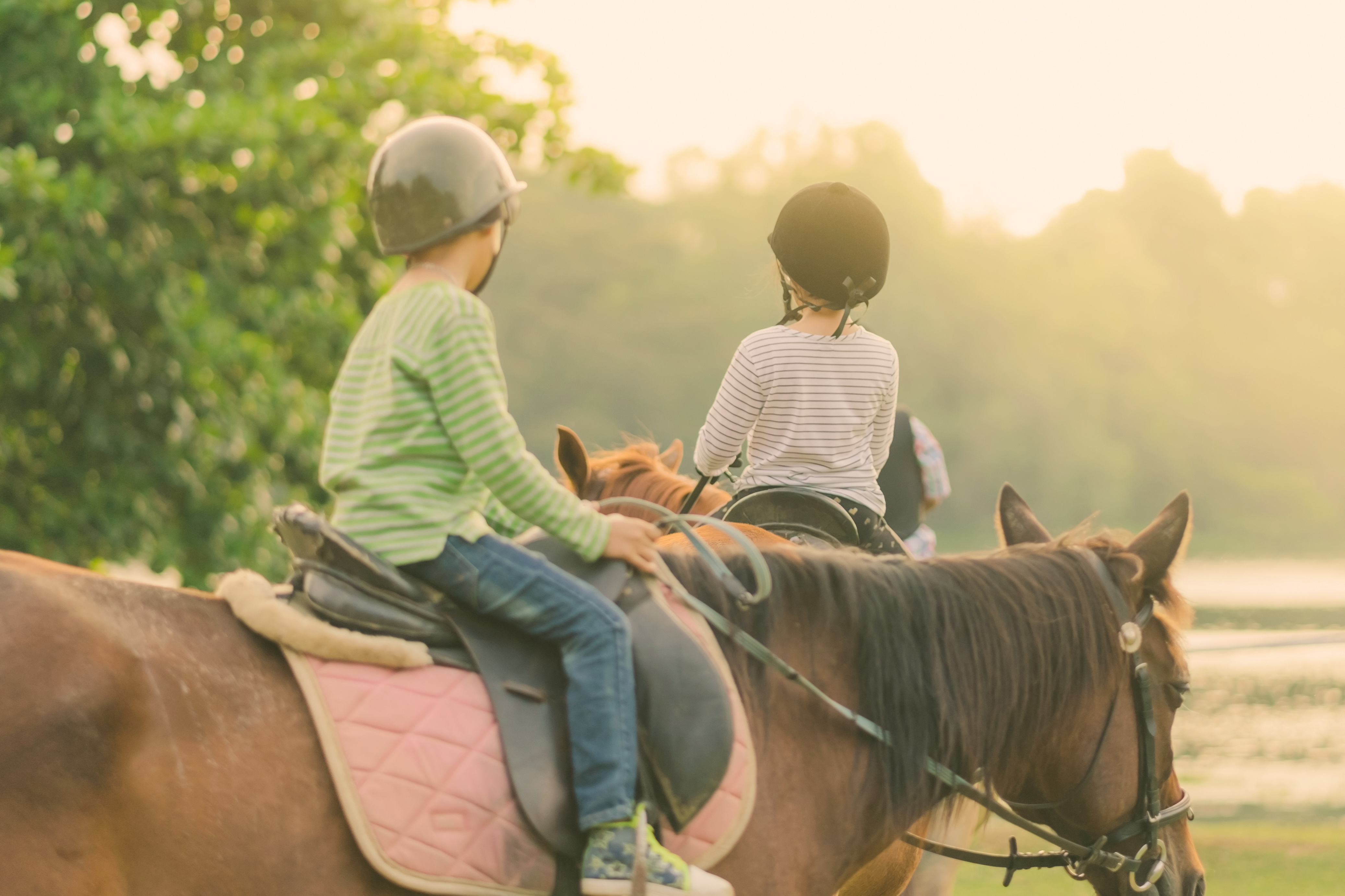 子供の習い事に「乗馬」を始めるメリットは？乗馬クラブの選び方や注意点、かかる費用はどれくらい？ | HugKum（はぐくむ）