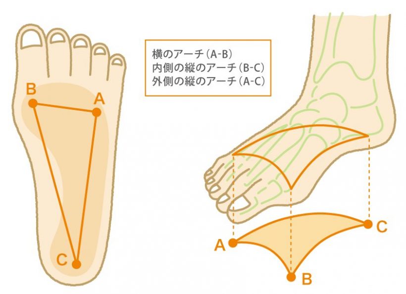 子どもの足に 本当に合う靴の選び方知ってる シューフィッターが教える知っているようで知らない話 小学館hugkum