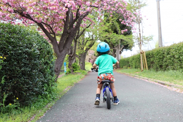 3歳で自転車 どのくらいの子が乗れている インチの選び方と人気の自転車12選 小学館hugkum