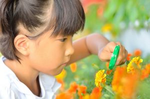 虫めがねで花を観察する女の子