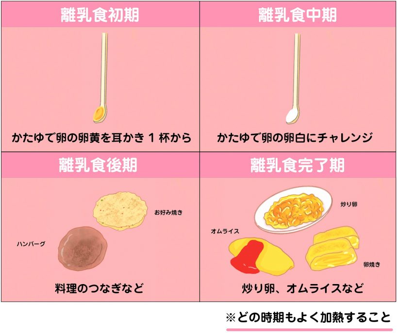 離乳食の卵黄 初めて食べる かたゆで卵 の進め方 アレルギーや冷凍保存の注意点 おすすめレシピまで 小学館hugkum