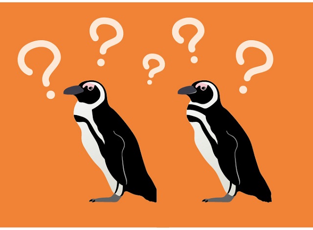 ２羽のペンギンの違い わかりますか 生き物への興味を育むペンギンカードゲーム Kitte Otte Hugkum はぐくむ