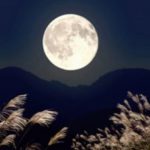 十五夜の由来や意味、中秋の名月との違いは？ うさぎと月の関係やお供え物についても解説
