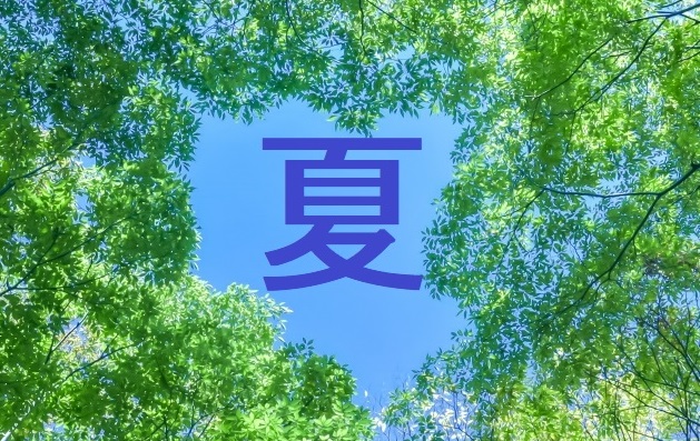 名づけ候補 漢字 夏 を使った名前例 意味や由来を徹底研究 小学館hugkum