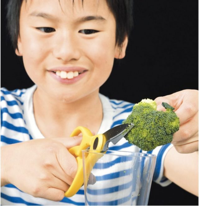 科学者みたい 野菜からdnaを取り出そう 小学8年生発 自由研究アイデア Hugkum はぐくむ