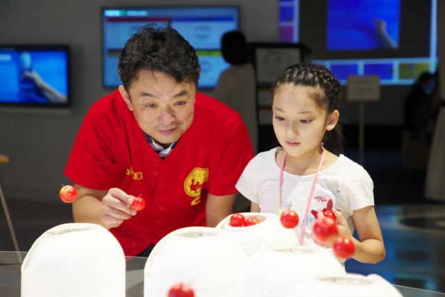 夏休み 自由研究ハック 小学館hugkum