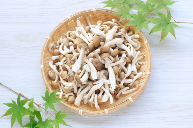 しめじは正しい保存で美味しさアップ！長持ちさせるコツをご紹介