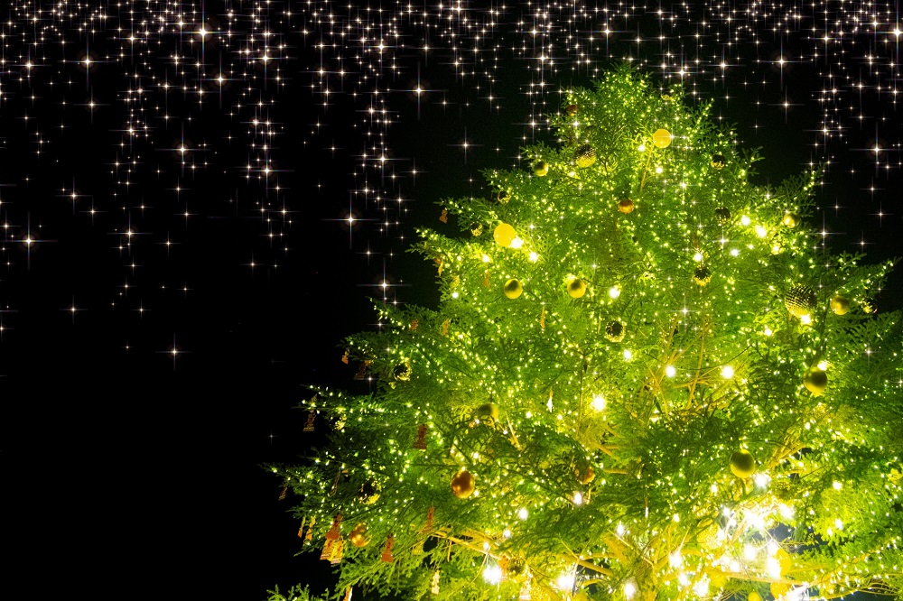 イケアの 本物モミの木 が 忘れられないクリスマスにしてくれる クリスマス後は返却も Hugkum はぐくむ