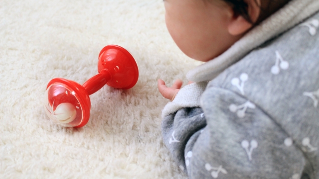 4 6ヶ月 赤ちゃんの好奇心を刺激するおもちゃbest３ おもちゃのサブスク トイサブ 会員が厳選 Hugkum はぐくむ