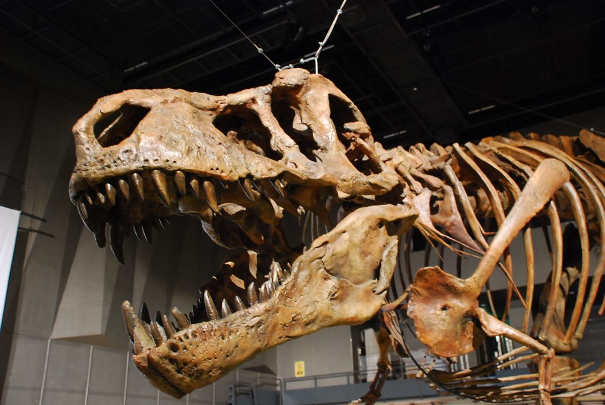 特別展「恐竜博2023」が3/14開幕！超貴重な鎧竜「ズール」の全身化石を