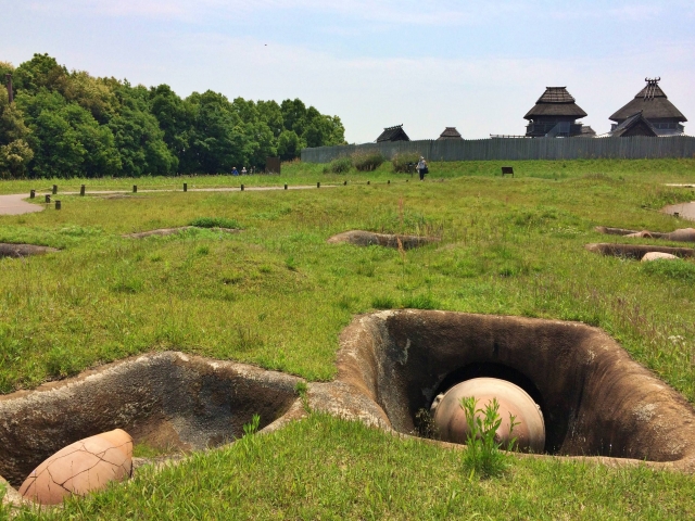 吉野ケ里遺跡「甕棺（かめかん）墓列」。甕棺は、九州北部特有の棺（ひつぎ）。大型の素焼きの土器に、亡くなった人の手足を折り曲げて入れ埋葬する。弥生時代中頃に盛んに行われていた。吉野ケ里では、2000基を超える甕棺が長さ600ｍにわたって整然と並んでいる。