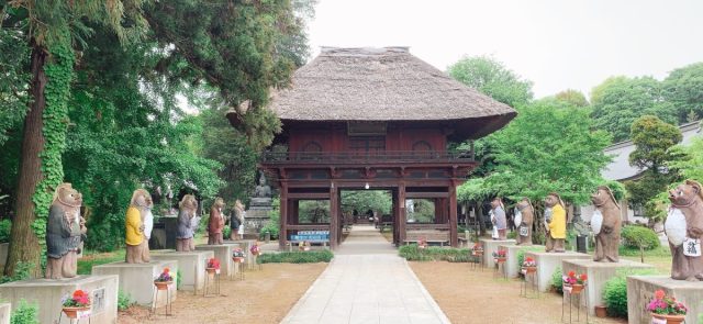 文福茶釜で有名な茂林寺（群馬県館林市堀工町）は曹洞宗の寺院。山号は青竜山。