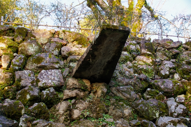 高知城「石樋」。有数の多雨地域・高知県の城ならではの排水設備で、城内の水路を流れてきた雨水が石垣に直接当たらないよう設置された石樋は、16カ所。この野面積みの石垣を造ったのは、当時、近江を中心に活躍した石工集団「穴太衆（あのうしゅう）」といわれる。