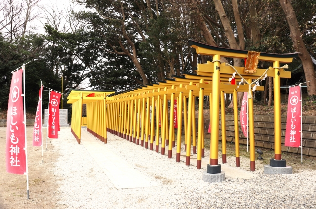 堀出神社（茨城県ひたちなか市）の境内にある「ほしいも神社」。黄金色の鳥居が珍しい。