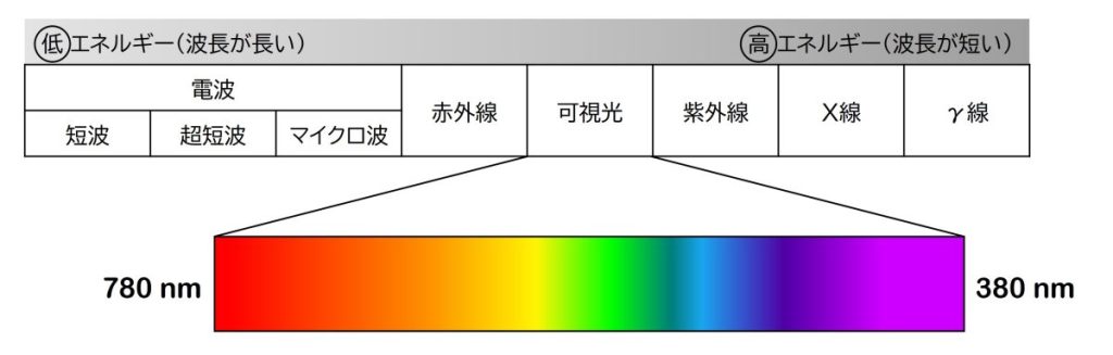 可視光とは、人間の目に光として感じる波長範囲の電磁波。 波長範囲の下限は360－400 nm、上限は760-830 nm。