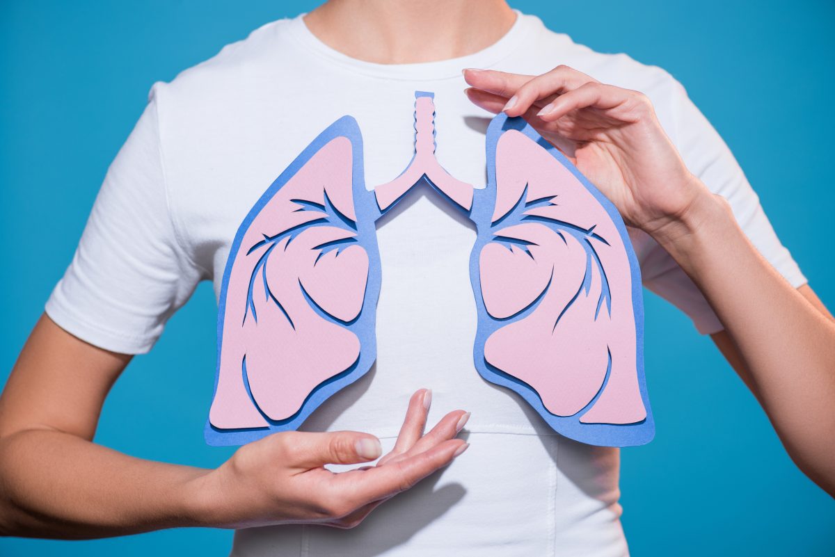 肺の基本情報│何がどう働いているの？