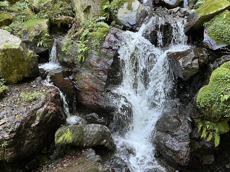 養老の滝