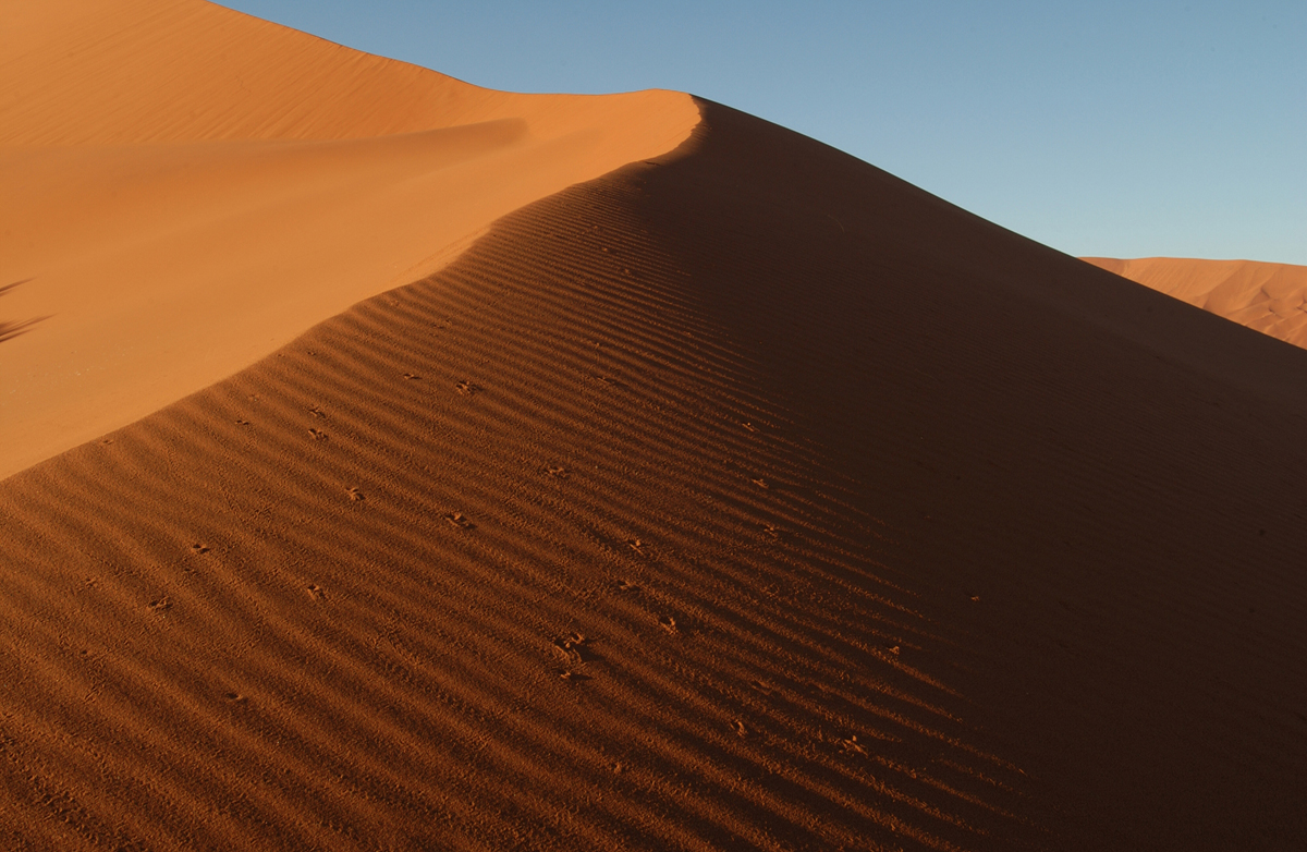 ナミブ砂漠