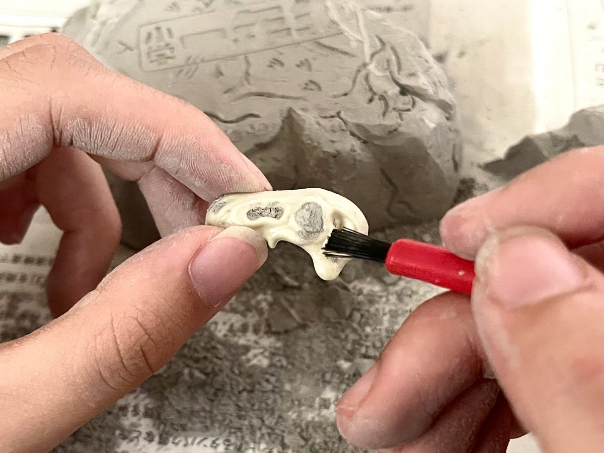 掘るまで帰らない！」小一モデルを夢中にさせた「ホネホネ か石