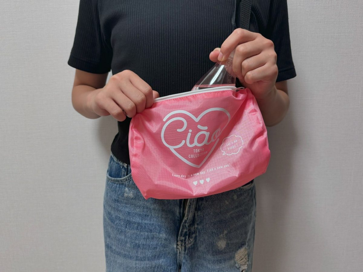 おしゃふろくキタ！ペットボトルもすっぽり入る「ミニボストンBAG」が