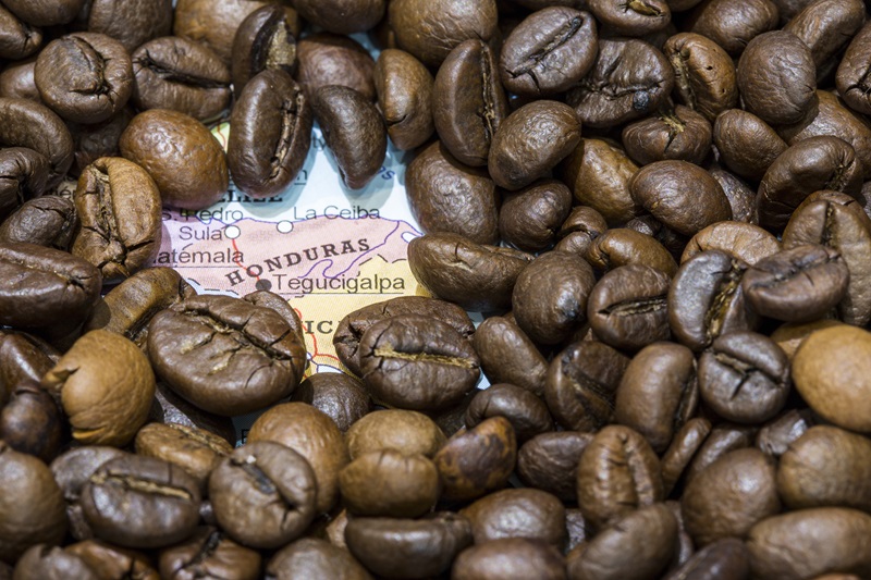 ホンジュラスのコーヒー