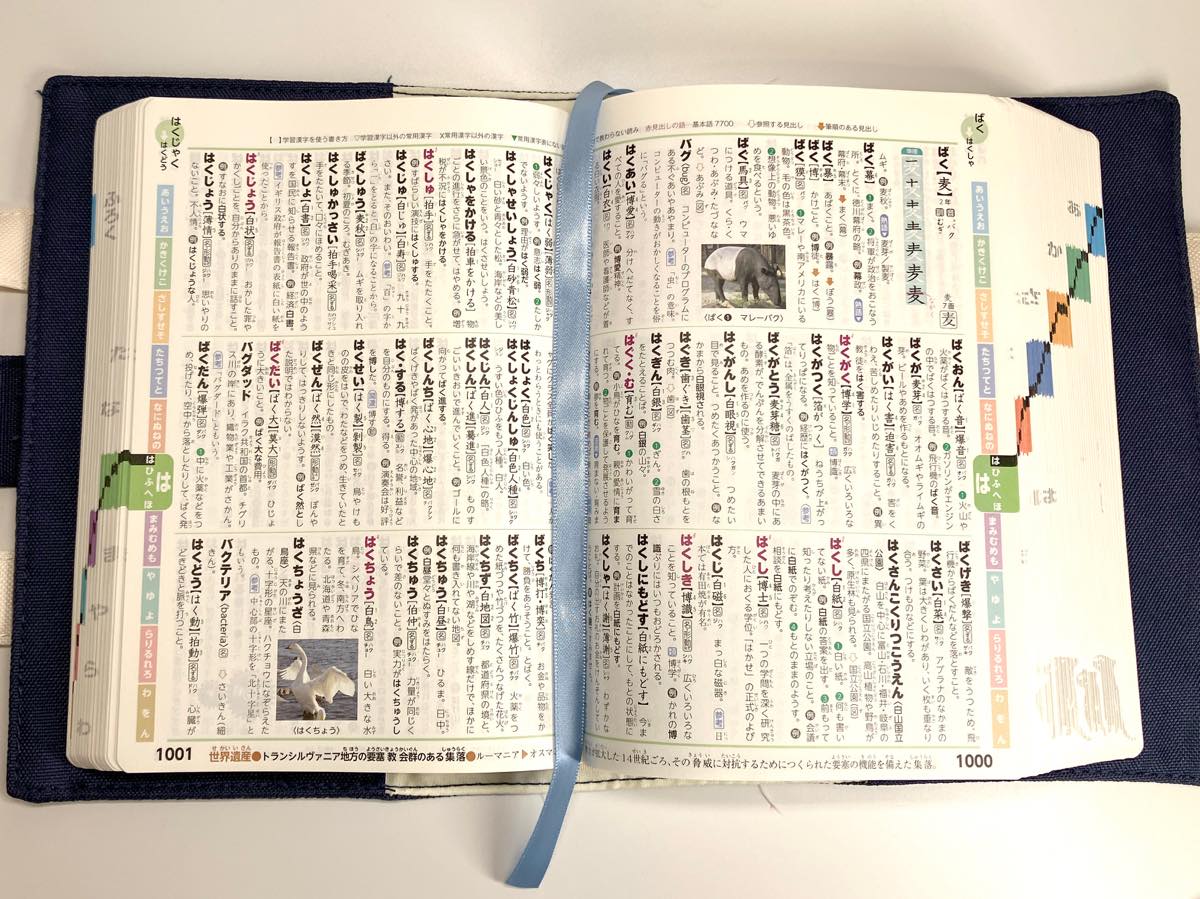 国語辞典カバー☆女の子オーダーページ☆ 【3名様にプレゼント