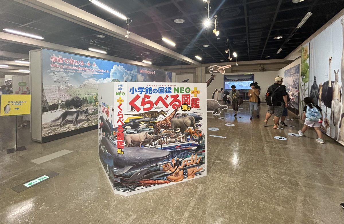神戸の科学館に『くらべる図鑑』リアルイベントがやってきた！ 8月31日(日)まで開催中 | Hugkum（はぐくむ）
