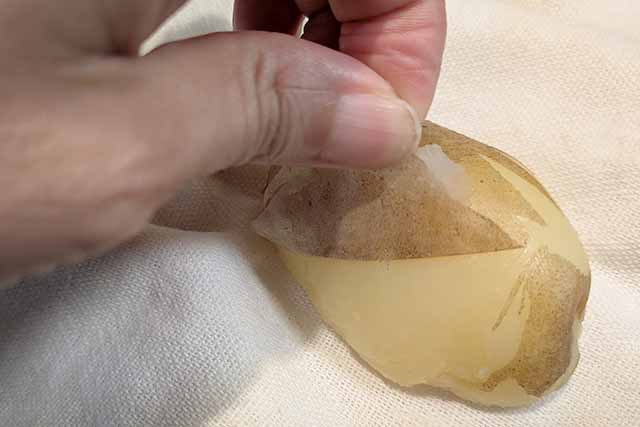 皮は、指でスルスルとむけます。