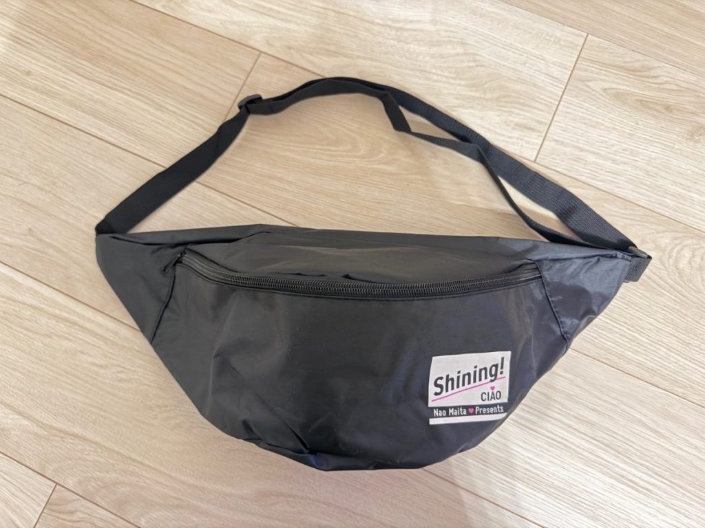 やっぱり1番使えるのは黒のシンプルバッグなんです♡