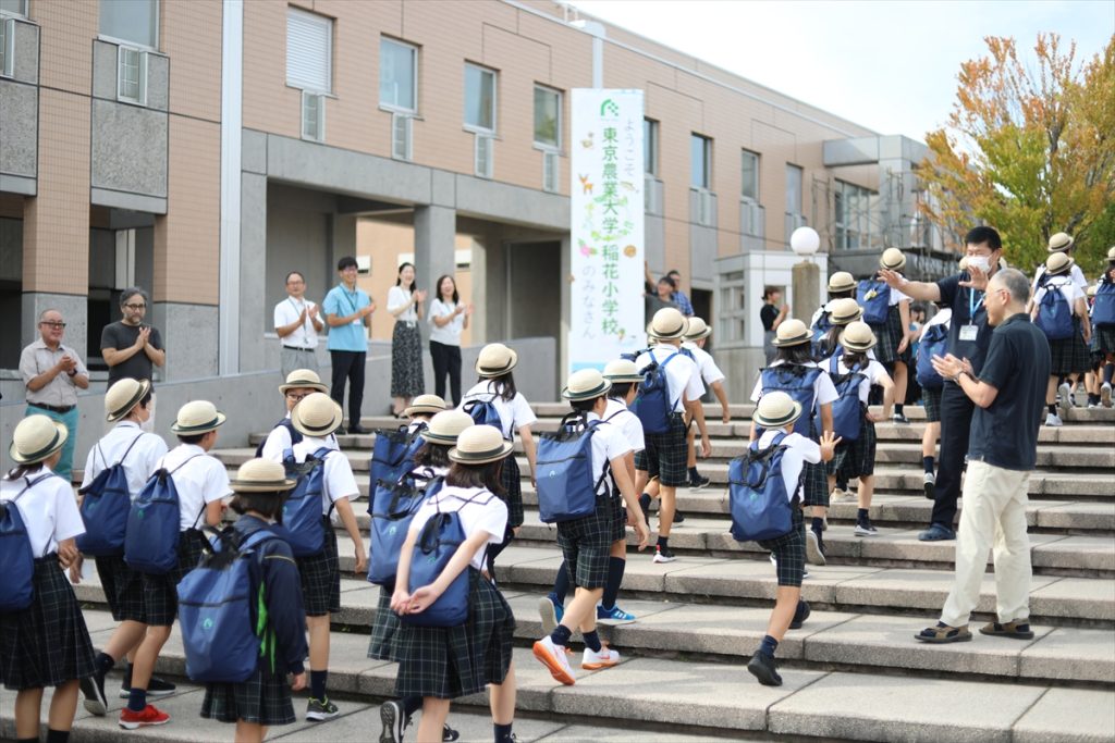 東京農大稲花小学校　夏期1-4 東京農大稲花小学校 夏期1-4 東京農業大学稲花（とうか）小学校