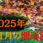 【開運日】2025年11月の開運日。今年の11月11日は、「お金」や「豊かさ」「居場所」に関する願い事で運気UP！