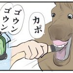 【中学受験】「4大塾が馬に水を飲ませるとしたら…？」中学受験の「あるある」が面白すぎると話題！ 元SAPIX生徒ママ漫画家りえ太郎さんにインタビュー