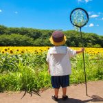 【夏休み】子どもの栄養不足が深刻！「太る子」「痩せる子」の二極化現象や、学力低下が起こる理由。解決のカギは1日3回のたんぱく質と、発酵食品＆乾物の活用《専門家監修》