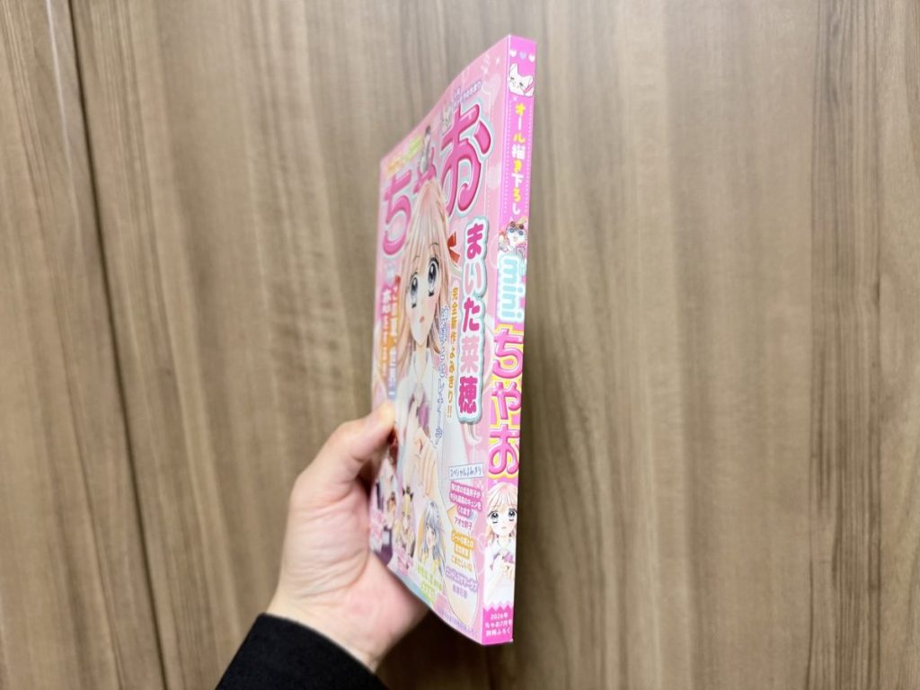 ふろくとは思えないボリューム！