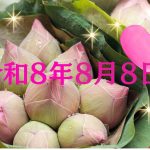 令和８年８月８日は願いが叶いやすい《トリプルエイト》の日！ 13日の獅子座の新月＆皆既日食の影響にも注目