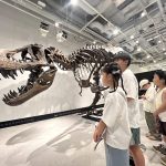東京ミッドタウン八重洲で、世界最大級のティラノサウルスの全身骨格「STAN」に会える！「YAESU KIDS EXPO 2026 ダイナソーラボ」が開催中