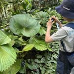 旅をすればするほど子育ては楽になる！【まなざし旅】を薦める尾石晴さんの旅行術とは？「家族の添乗員にならない」「子どもに役割を与える」がカギ