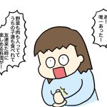 お泊まりのお返しご飯は？ 偏食兄弟もなんでも食べる子も楽しめる料理があった！【VS偏食兄弟！何なら食べるの！？】vol.55