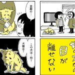 初対面の印象は「心配」。姉の家に来た元保護犬すずと、犬が苦手な妹との回顧録『姉の犬から目が離せない』著者インタビュー